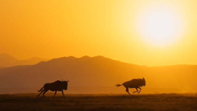 Vignette du programme télé Une planète parfaite