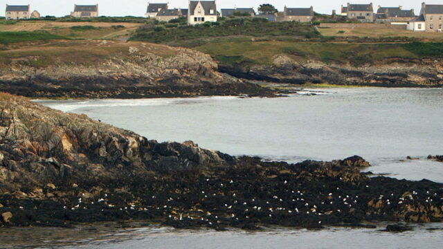 Vignette du programme télé Invitation au voyage