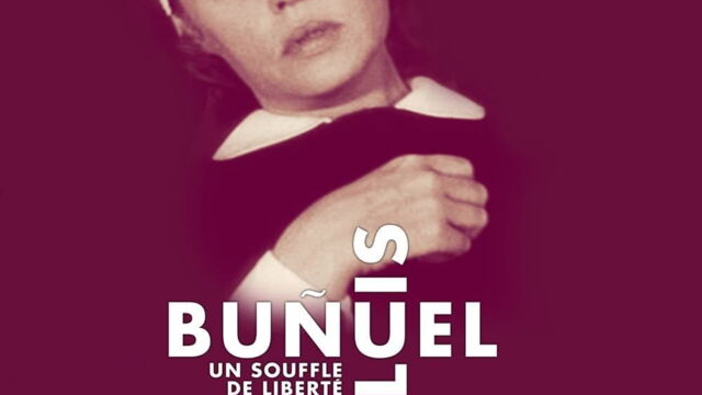 Vignette du programme télé Le journal d'une femme de chambre