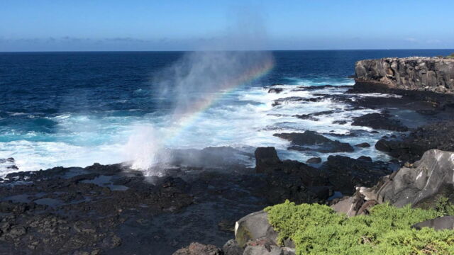 Vignette du programme télé Les Galápagos : Un paradis florissant