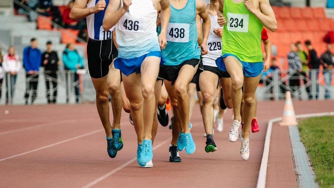 Vignette du programme télé Cross-Country : Championnats de France