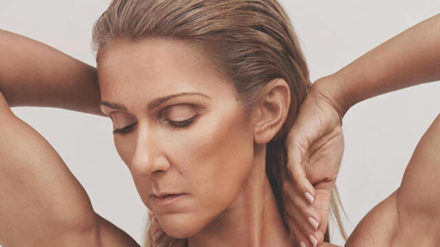 Vignette du programme télé Céline Dion : une voix, un destin