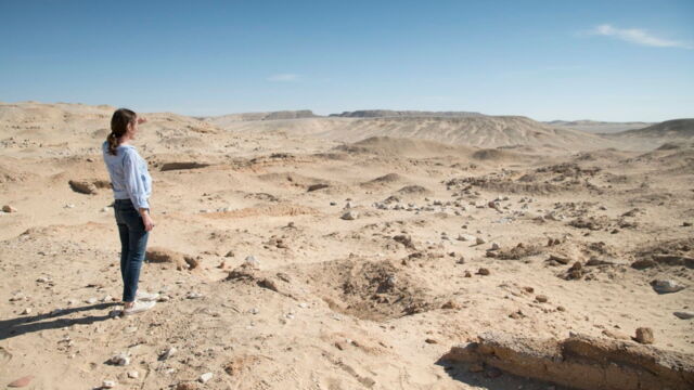 Vignette du programme télé Les grandes énigmes de l'Histoire