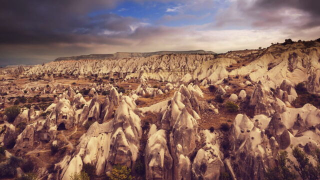 Vignette du programme télé Pays et marchés du monde