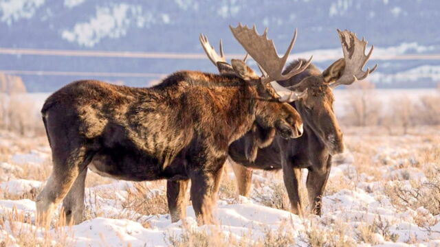 Vignette du programme télé Invitation au voyage