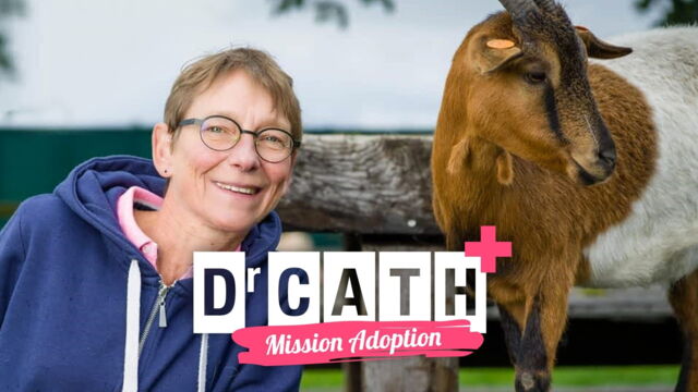 Vignette du programme télé Dr Cath : Mission adoption