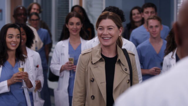 Vignette du programme télé Grey's Anatomy