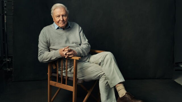 Vignette du programme télé Royaumes de glace