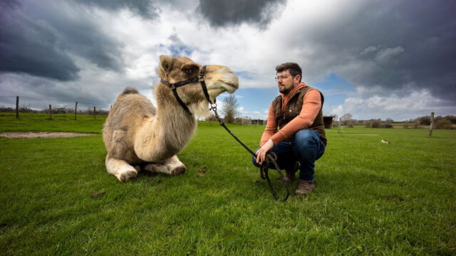 Vignette du programme télé Julien, un chamelier chez les Ch'tis