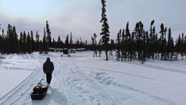 Vignette du programme télé Seuls face à l'Alaska