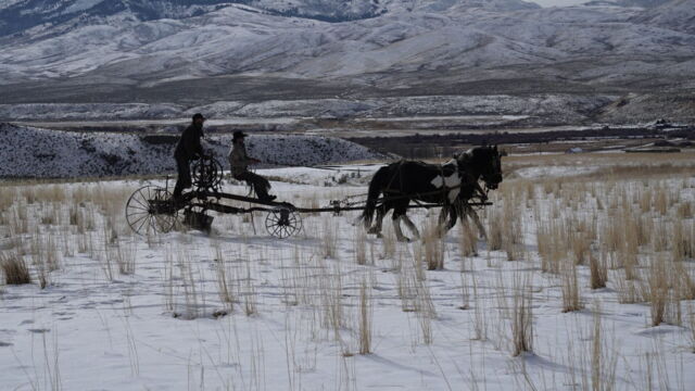 Vignette du programme télé Seuls face à l'Alaska