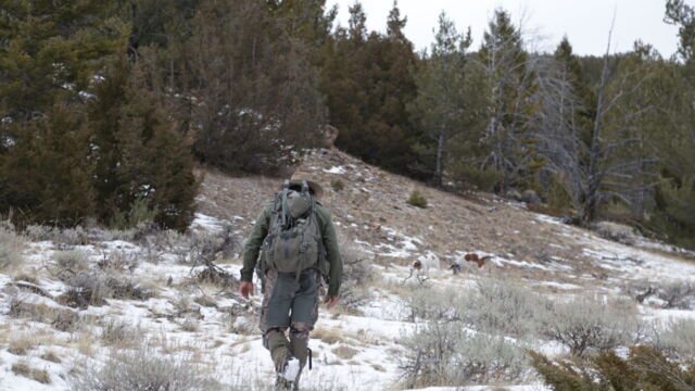 Vignette du programme télé Seuls face à l'Alaska