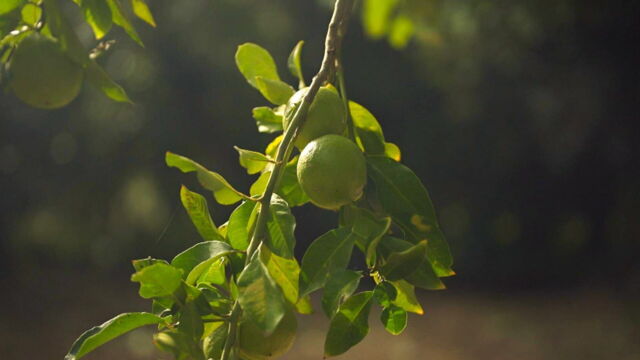 Vignette du programme télé Invitation au voyage