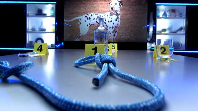 Vignette du programme télé Indices