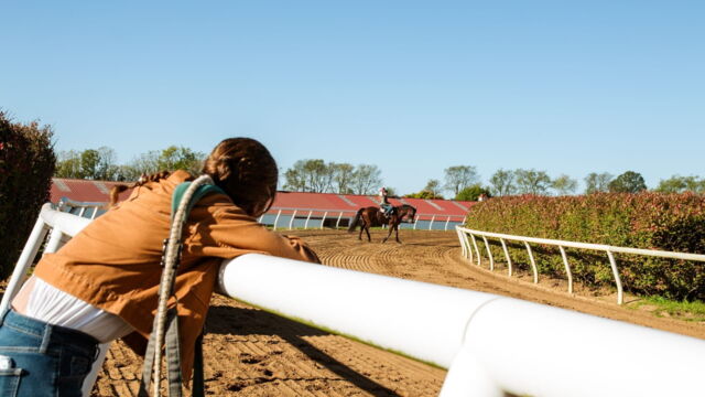 Vignette du programme télé Les secrets du domaine Rosemont