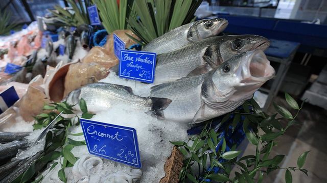 Vignette du programme télé Le poisson : à consommer sans modération ?