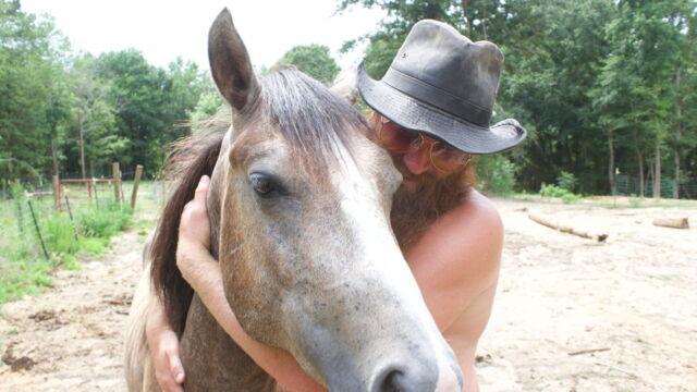 Vignette du programme télé Habitations en péril