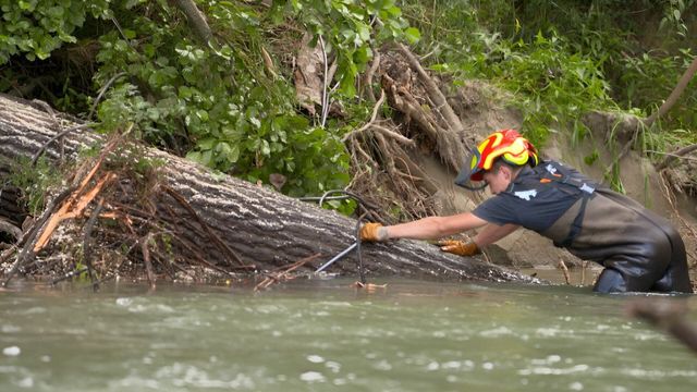 Vignette du programme télé Bûcheron : un métier à hauts risques - Saison 3