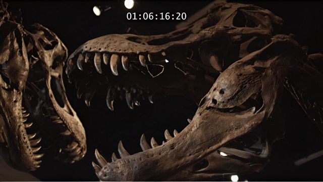 Vignette du programme télé Avant Jurassic Park : l'apocalypse des dinosaures