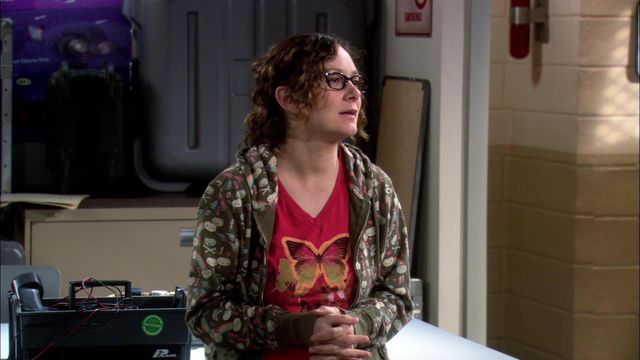 Vignette du programme télé Big Bang Theory - Saison 1