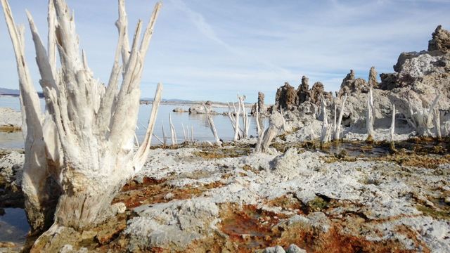 Vignette du programme télé La valse des continents - Saison 2