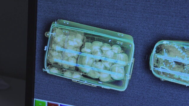 Vignette du programme télé Au coeur des douanes : Espagne