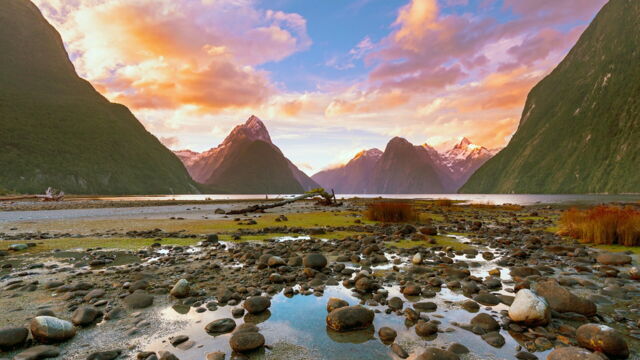 Vignette du programme télé Nouvelle-Zélande