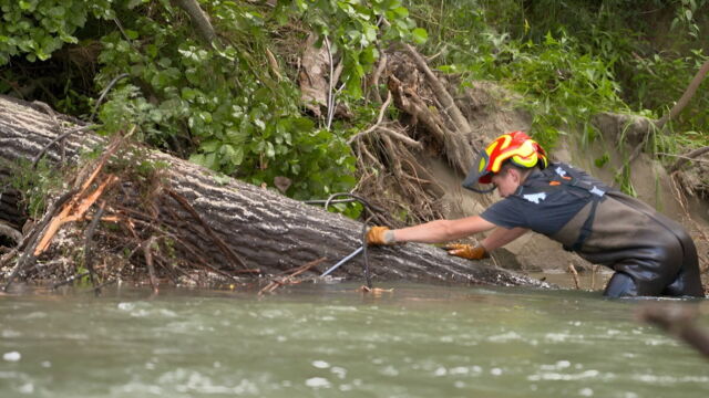 Vignette du programme télé Bûcheron : un métier à hauts risques
