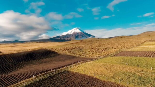 Vignette du programme télé Des volcans et des hommes