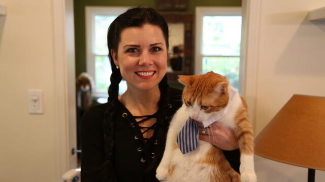 Vignette du programme télé Hell's Cats