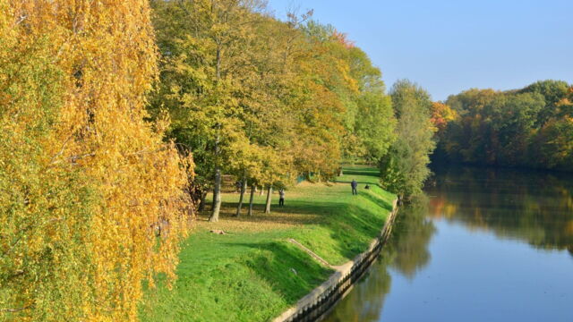 Vignette du programme télé Chroniques criminelles