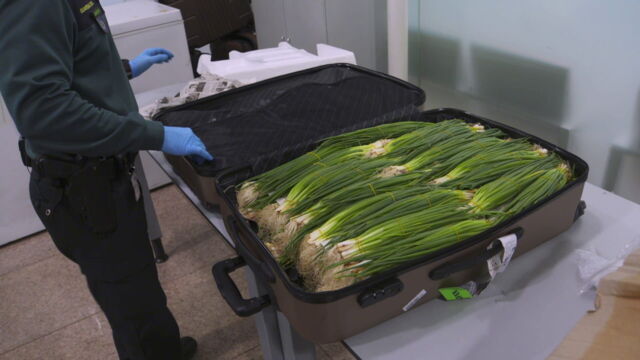 Vignette du programme télé Au coeur des douanes : Espagne