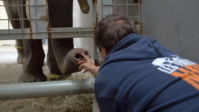 Vignette du programme télé Grands reportages