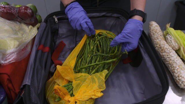 Vignette du programme télé Au coeur des douanes : Espagne