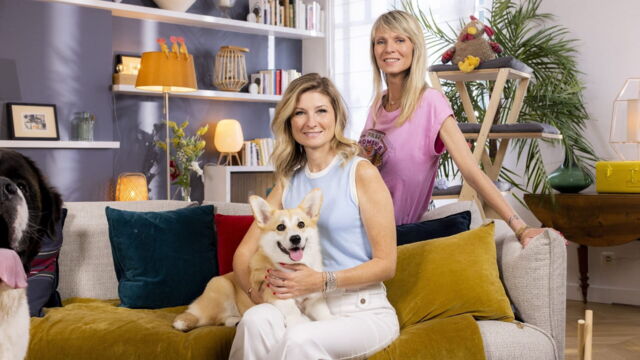 Vignette du programme télé Animaux à adopter : nouvelle famille pour une nouvelle vie