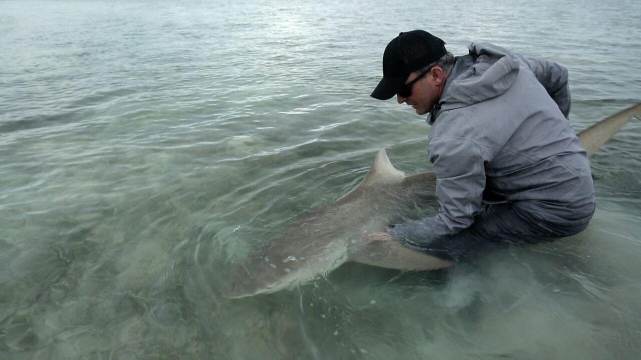 Vignette du programme télé Pêche XXL
