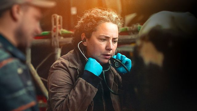 Vignette du programme télé Véto de campagne