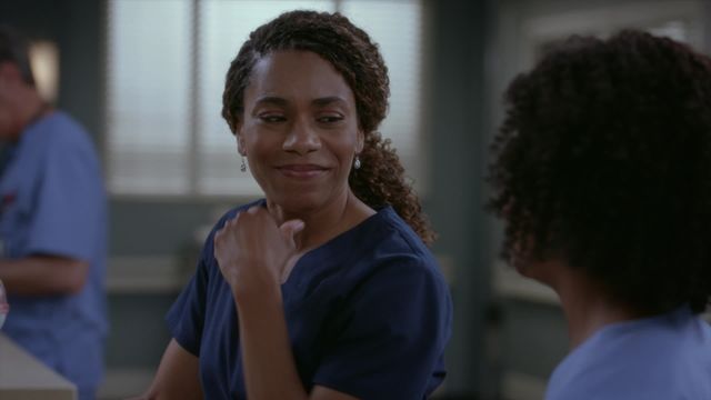 Vignette du programme télé Grey's Anatomy - Saison 19