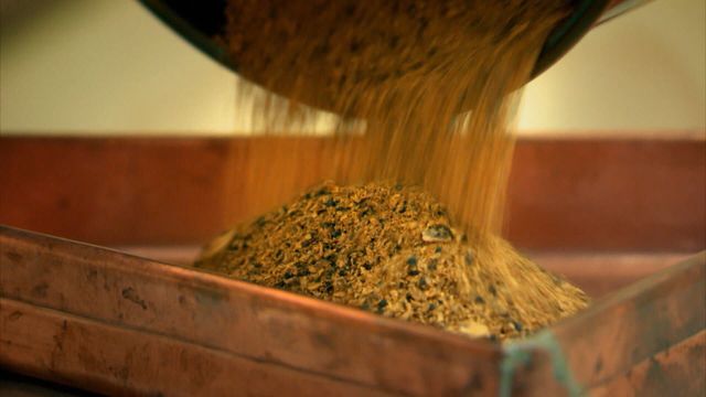 Vignette du programme télé Alaska : La ruée vers l'or - Saison 7