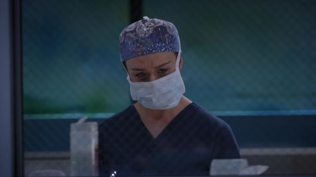 Vignette du programme télé Grey's Anatomy - Saison 19