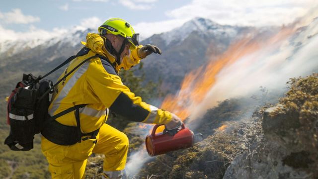 Vignette du programme télé Bonnes nouvelles de la planète