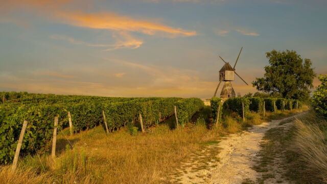 Vignette du programme télé Les visages du crime en région