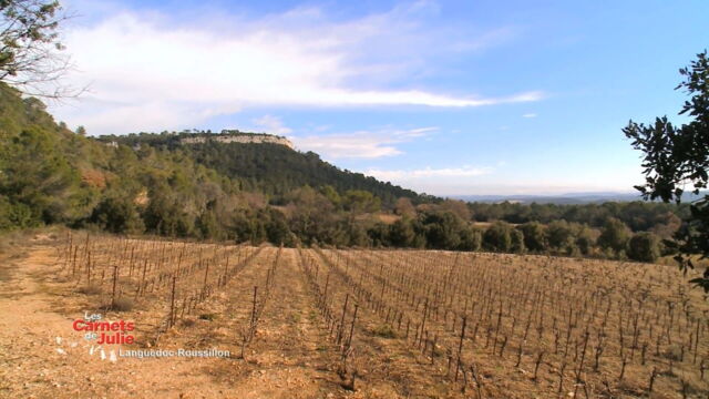 Vignette du programme télé Les carnets de Julie
