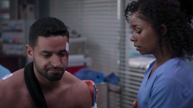 Vignette du programme télé Grey's Anatomy - Saison 19