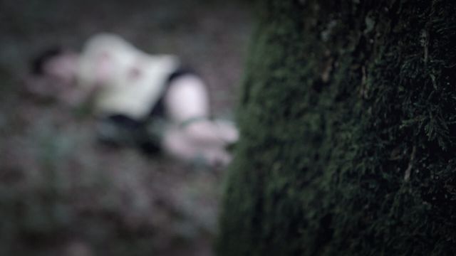 Vignette du programme télé Les visages du crime - Saison 2