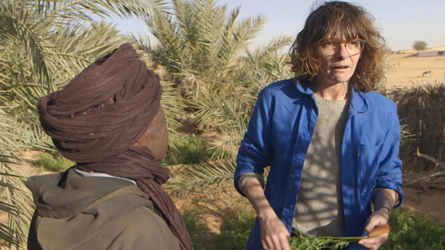 Vignette du programme télé Drôles de villes pour une rencontre