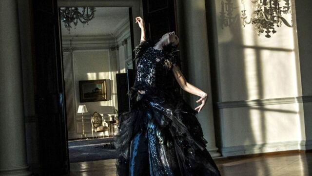 Vignette du programme télé Bird