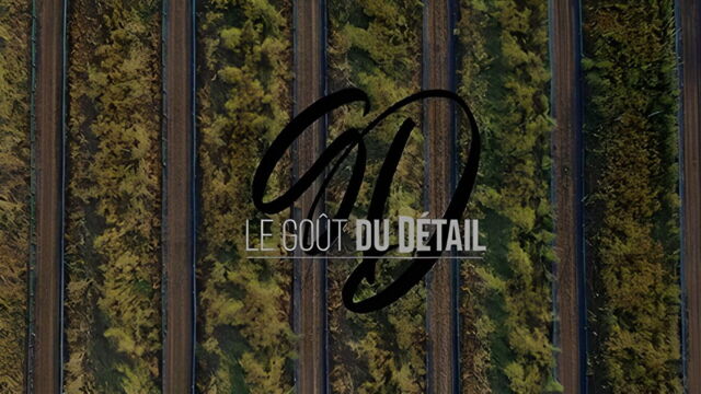 Vignette du programme télé Le goût du détail