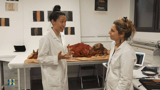 Vignette du programme télé C'est toujours pas sorcier