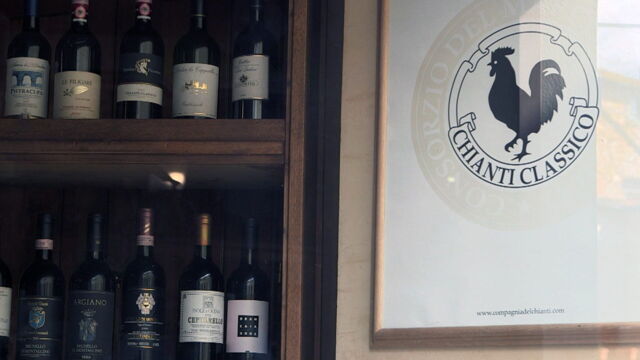 Vignette du programme télé Des vignes et des hommes